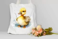 Cute Baby Duck Watercolor PNG Clipart Product Image 3