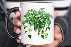Houseplants In Pot Sublimation PNG Clipart Product Image 3