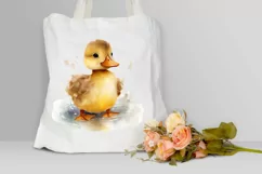 Cute Baby Duck Watercolor PNG Clipart Product Image 3