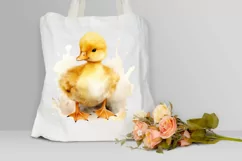 Cute Baby Duck Watercolor PNG Clipart Product Image 3