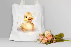 Cute Baby Duck Watercolor PNG Clipart Product Image 3