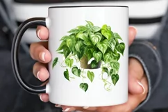 Houseplants In Pot Sublimation PNG Clipart Product Image 3