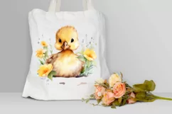 Cute Baby Duck Watercolor PNG Clipart Product Image 3