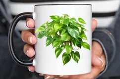 Houseplants In Pot Sublimation PNG Clipart Product Image 3