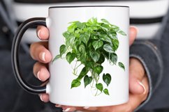 Houseplants In Pot Sublimation PNG Clipart Product Image 3