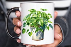 Houseplants In Pot Sublimation PNG Clipart Product Image 2