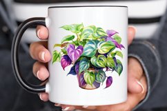 Houseplants In Pot Sublimation PNG Clipart Product Image 3