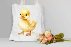 Cute Baby Duck Watercolor PNG Clipart Product Image 3