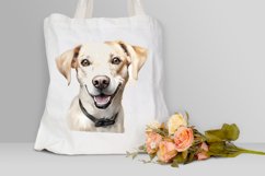 Dog Painting Sublimation PNG Clipart Product Image 3