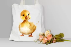 Cute Baby Duck Watercolor PNG Clipart Product Image 3