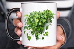 Houseplants In Pot Sublimation PNG Clipart Product Image 3