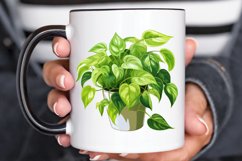 Houseplants In Pot Sublimation PNG Clipart Product Image 3