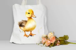 Cute Baby Duck Watercolor PNG Clipart Product Image 3