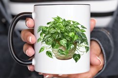 Houseplants In Pot Sublimation PNG Clipart Product Image 3