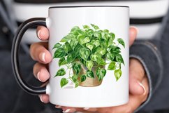 Houseplants In Pot Sublimation PNG Clipart Product Image 3