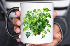 Houseplants In Pot Sublimation PNG Clipart Product Image 3