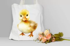 Cute Baby Duck Watercolor PNG Clipart Product Image 3