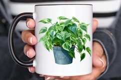 Houseplants In Pot Sublimation PNG Clipart Product Image 3