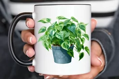 Houseplants In Pot Sublimation PNG Clipart Product Image 3
