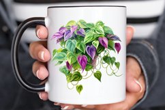 Houseplants In Pot Sublimation PNG Clipart Product Image 3