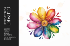 Rainbow Floral Splash Clipart PNG Product Image 1