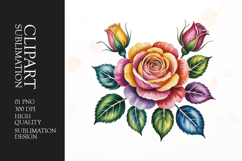 Rose Bouquet Clipart PNG Product Image 1