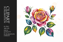 Rose Branch Clipart PNG Product Image 1