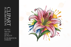 Watercolor Lily Clipart PNG Product Image 1
