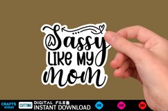Sassy, Sarcastic Sticker Bundle Sassy Quotes Sticker Bundle Product Image 12