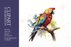 Watercolor floral parrot clipart sublimation png Product Image 1