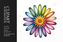 Multicolor Daisy Clipart PNG Product Image 1