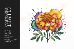 Floral Splash Bouquet Clipart PNG Product Image 1