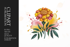 Floral Bouquet Clipart PNG Product Image 1
