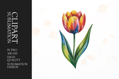 Tulip Blossom Clipart PNG Product Image 1