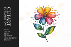 Single Flower Clipart PNG Product Image 1