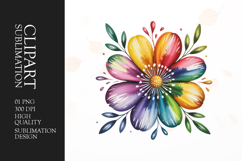 Colorful Flower Burst Clipart PNG Product Image 1