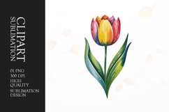 Simple Tulip Clipart PNG Product Image 1