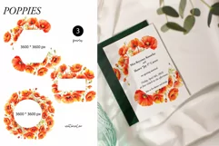 Watercolor Poppy Floral Clipart - Red poppies clipart png Product Image 2