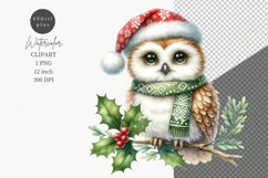 Owl clipart, Watercolor clipart, Christmas clipart Product Image 1