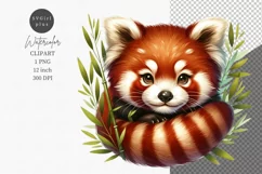 Red panda clipart, Animals clipart, Watercolor clipart Product Image 1