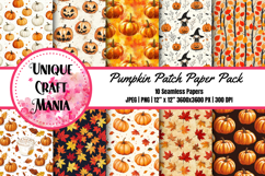 Pumpkin Patch Paper Pack, Digital Paper Pack, Pumpkins Product Image 1