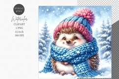 Hedgehog clipart, Christmas clipart, Watercolor clipart, Product Image 1