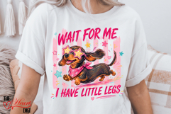Wait For Me I Have Little Legs PNG, Dachshund PNG, Wiener Product Image 1