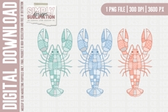 Lake House Crawfish| Png | Summer | Sublimation, Dtf Product Image 1