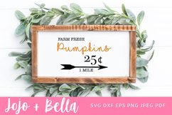 Farm Fresh Pumpkins Sign Svg Product Image 1