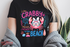 Funny Quotes PNG, Vacation Quotes PNG, Crabby Beach PNG Product Image 2