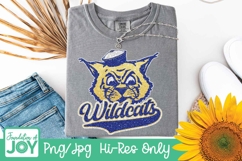 Kentucky Football png, Football season, Glitter Tigers Product Image 2