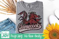 Gamecocks Football png, Football season Product Image 2