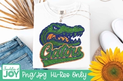 Gators Football png, Football season, Glitter football Product Image 3
