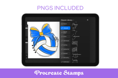 Preppy Volleyball Procreate Stamps Product Image 1